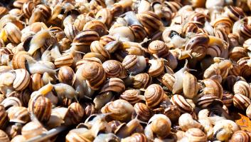 Preocupa en Finlandia el asedio de los caracoles españoles y se ven obligados a llamar a los profesionales