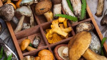 El rinconcito oculto a solo dos horas de Madrid que es un paraíso para los amantes de las setas