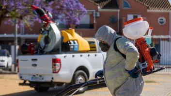 Una mujer de 80 años, décima muerte por virus del Nilo en Andalucía