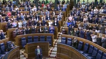 Un Congreso de los Diputados unido aprueba por unanimidad la ley ELA