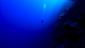 Cuánto gana un biólogo marino en España en 2024 con o sin experiencia