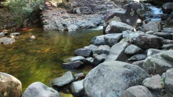 Drenan los estanques para expulsar a una especie invasora extrema y tropiezan con el inesperado 'pez dorado'