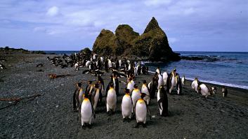 La zona más inhabitada del mundo busca trabajadores 'normales' a cambio de 150.000 euros y alojamiento incluido