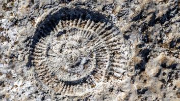 El sorprendente pueblo de Salamanca que se ha convertido en un museo vivo tras estar en el fondo del océano hace millones de años