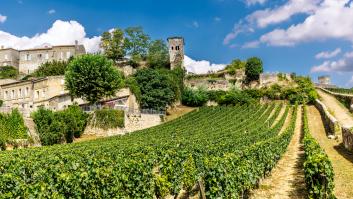 Los inversores chinos huyen en masa de los mejores viñedos del mundo y "regalan" sus castillos