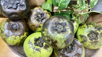 La sorprendente fruta cargada de nutrientes y baja en calorías que sabe a Nutella