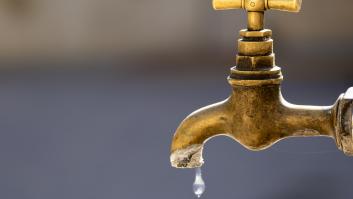 5 sencillos gestos para ahorrar agua en el baño, la cocina, el jardín