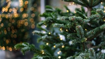 Una pareja juega todas las cartas a los abetos para poder pagar la universidad de sus 8 nietos