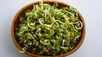 Un alimento 'nuevo' en las cocinas españoles tira por los suelos el colesterol