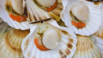 Un nutricionista revela el tesoro detrás de una parte que muchos eliminan de las vieiras