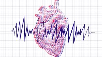 Un cardiólogo revela el ejercicio para perder latidos y aliarse con la longevidad: "Ahorras 13.000 latidos al día"