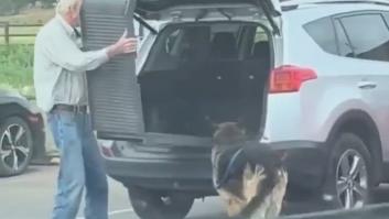 Las desgarradoras señales que indican que tu perro está muriendo y que muchos dueños pasan por alto