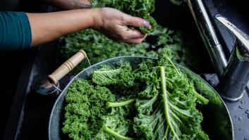 Piden comer abundantes cantidades de la superverdura asesina del cáncer: "Se le ha prestado muy poca atención"