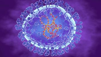 El metapneumovirus (HMPV), ni nuevo ni fuera de lo normal: el microbiólogo Raúl Rivas aclara cuál es la situación en España
