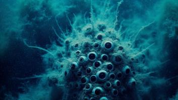 Intriga entre los científicos al sacar del agua una nueva criatura con 24 ojos y altamente venenosa