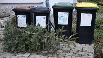Un profesor de química confiesa que obtiene su alimento de la basura desde hace años: "Nunca sabrás que encontrarás"