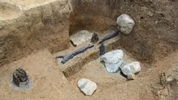 Los arqueólogos se llevan la gran decepción al descubrir a quién pertenecen los fósiles "humanos" más antiguos