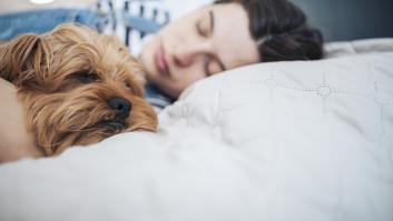 Un estudio revela que dormir con tu perro puede cambiar la vida del dueño y de la mascota