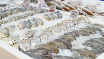 Revelan los 5 peces y mariscos preferidos de los españoles que son un hervidero de microplásticos