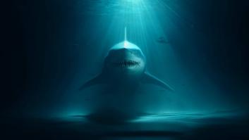 Estas son las características del tiburón de Groenlandia, uno de los animales más lentos del mundo