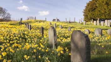 El desconocido cementerio de un pueblo de Extremadura en el que están enterrados cientos de militares alemanes