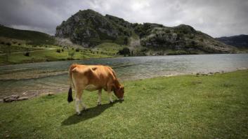 Este es el 'pueblo de los celíacos' de España: libre de gluten y con un robledal que maravilla