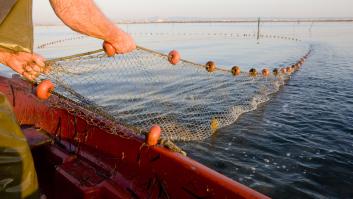 Una ONG lleva a España a los tribunales por hacer la vista gorda con la pesca ilegal en África