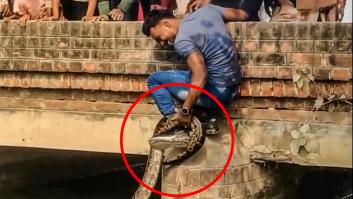 Un hombre saca a una pitón gigante de un canal y su hazaña se vuelve viral: "¡Increíble equilibrio y fuerza!"
