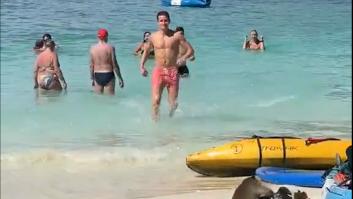 Se baña tranquilamente en la playa y lo que ve en su mochila hace que tenga que salir corriendo del agua