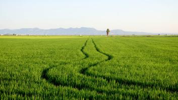 Éste es el alimento con más arsénico: tremendamente accesible en todos los supermercados españoles