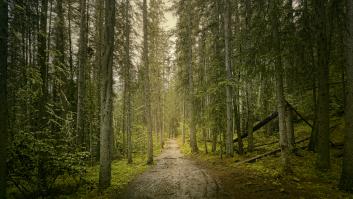 Un hombre encuentra una caja registradora tirada en medio del bosque y al abrirla encuentra lo que menos deseaba