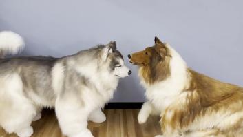 Un hombre de China que se siente perro y se gasta miles de euros en un disfraz conoce a otro en la misma situación