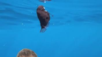 El descubridor del 'diablo lo negro' cuenta la historia real detrás de su vídeo