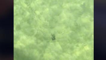 Lo que le pasa mientras pasea por la playa de San Sebastián no deja de verse: lo soluciona a la perfección