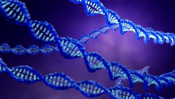 Una mujer adoptada se hace la prueba de ADN y descubre que desciende de una eminencia del Siglo de Oro español