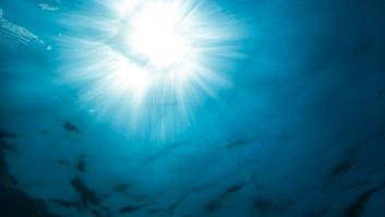 Descubren impresionantes corales del tamaño de cinco canchas de tenis en las profundidades marinas