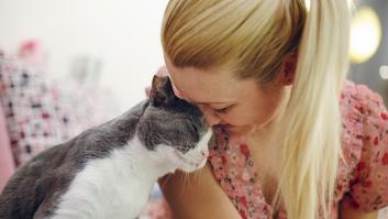 Adiós a los cordeles: llega un paso adelante en los juguetes para gatos que lo entretienen y evita un riesgo de obesidad