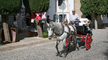 Francia mira de reojo el plan de Málaga para acabar con una clásica atracción turística criticada por activistas animales
