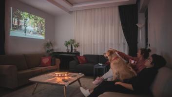 Un veterinario señala cómo saber a quién de la familia quiere más tu perro y si se puede cambiar