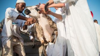 La sequía en Marruecos pone en jaque una de las mayores celebraciones musulmanas