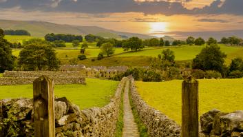 El plan de 570.000 euros en la granja triunfa con el regreso de las especies: "Como era hace unos 100 años"