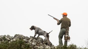 Un estudio aporta previsiones poco optimistas sobre el futuro de la caza en España