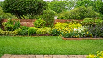 Piden actuar antes de finalizar marzo contra el mayor dolor de cabeza de los jardineros con el césped