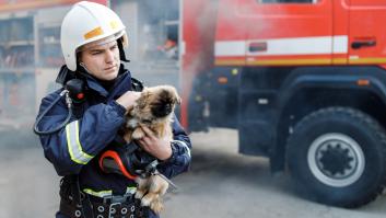 El simple gesto que pone en alerta a los bomberos para salvar a tu mascota en un incendio