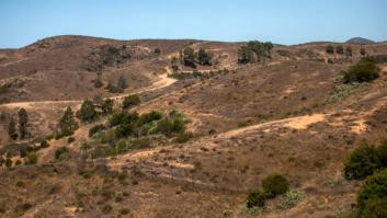 La isla a miles de kilómetros de Cataluña que tiene su nombre en catalán y se considera un laboratorio natural