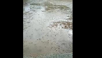 Un agricultor arrasa con lo que le dice a quien se queja de que no para de llover