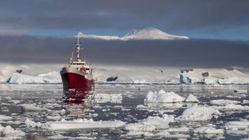 Intriga máxima de los biólogos tras descubrir miles de nidos por casualidad bajo el hielo de la Antártida