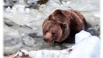 De la congelación a la confiscación de los activos rusos: el Parlamento Europeo impulsa la reconstrucción de Ucrania