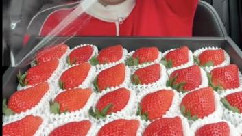 Prueba unas fresas de más de 200 euros y tiene un claro veredicto