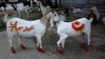 El Rey Mohammed VI deja a España pendiente de un hilo tras su última decisión: ahora se replantea cancelarla